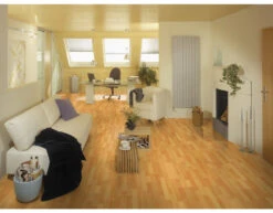 Stratifié Hêtre Nobelle « 'D1424 »' Standard Plancher Pont De Bateau -Meister Soldes Magasin 40000 2 452023 buche nobelle d1424566e2f9c25249VK4CAdHkGjtEg