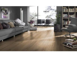 Stratifié Chêne Phalsbourg D3073 Robusto Plancher Au Format De Lames Larges à L'ancienne 14 Stratifié Chêne Phalsbourg D3073 Robusto Plancher Au Format De Lames Larges à L'ancienne -Meister Soldes Magasin 452345 3 AmbienteBYXyp2ZvM2iIr