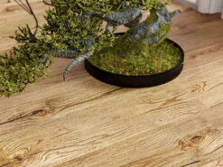 Parquet Chêne Turin Super Rustique Lame Bois Brossé Style Campagnard 15 Parquet Chêne Turin Super Rustique Lame Bois Brossé Style Campagnard -Meister Soldes Magasin 5 h5afcjxyrvmtyLABYAq