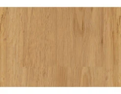 Sol En Vinyle Chêne Naturel Basic 30 Au Format De Lames Larges à L'ancienne 7 Sol En Vinyle Chêne Naturel Basic 30 Au Format De Lames Larges à L'ancienne -Meister Soldes Magasin 71108 pbvm004f3 Originalgroesse566eb466675f658132a9944611T2N121KoxwI9X