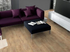 Meister Soldes Magasin -Meister Soldes Magasin L4010846 3TlKwbRbbKiEMR