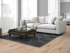 Meister Soldes Magasin -Meister Soldes Magasin L4010905 3P8lP8Asgt7CgP