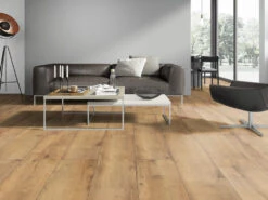 Meister Soldes Magasin -Meister Soldes Magasin L4010906 3oKJcMycGFLerT