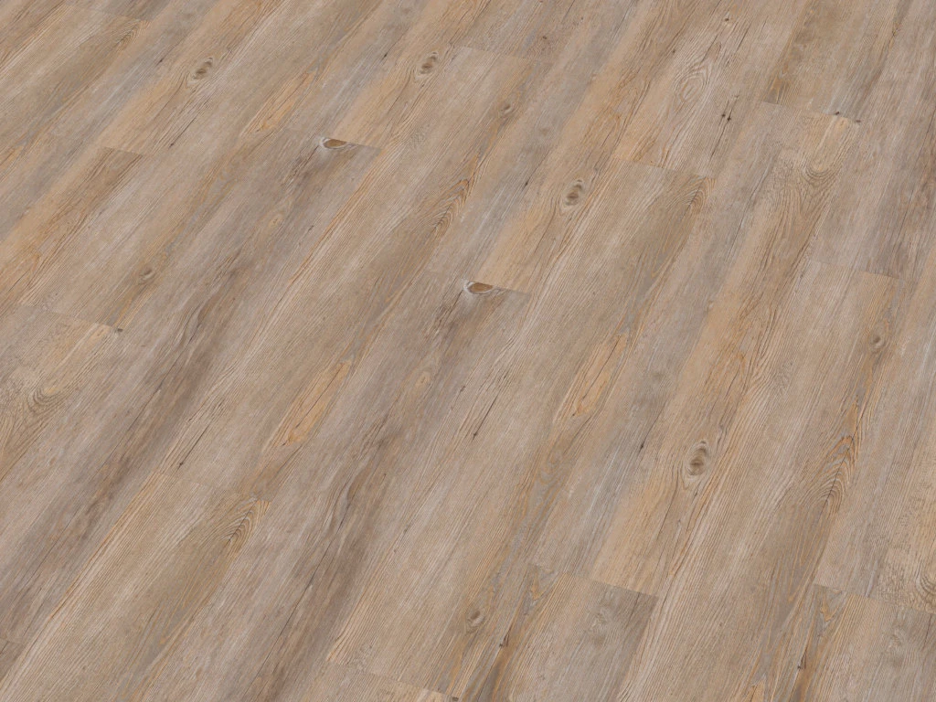 Kork Wood Start Green Design Chêne D'Alaska 1 Kork Wood Start Green Design Chêne D'Alaska