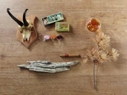 Meister Sol Design DL 600 S Comfort Chêne Pédonculé Naturel 6952 Au Format De Lames Larges à L'ancienne 12 Meister Sol Design DL 600 S Comfort Chêne Pédonculé Naturel 6952 Au Format De Lames Larges à L'ancienne -Meister Soldes Magasin l4081112 50mhkHzu5lB5uz