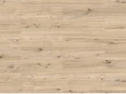 Sol Design Trend Green Vinyle ChĂȘne Naturel Lame Style Campagnard