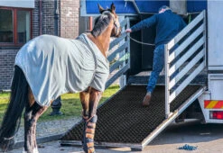 Tapis En Caoutchouc Annulaire Alvéolé Octo Door -Meister Soldes Magasin l4800002 60x8085xiPElwskPvTK bdelm8mjix9wg780W2e